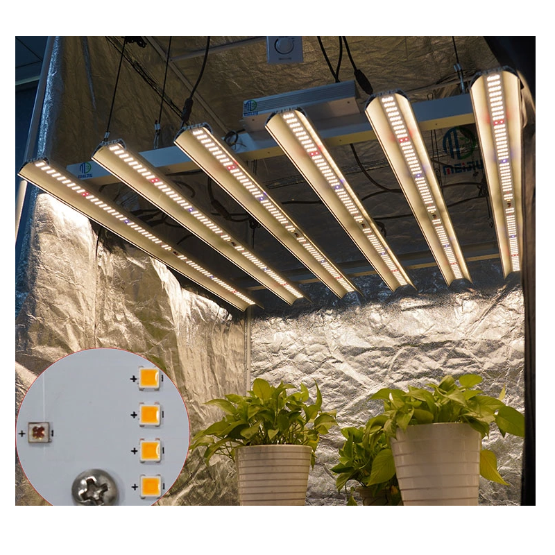 Best 600w deals grow light