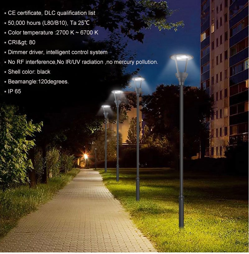 LED Post Top Area Light 60W IP65 for Garden Lighting BBIER