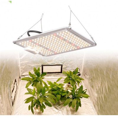 110W 220W 440W 660W Quantum Board LED Grow Light Fixture IP65 with