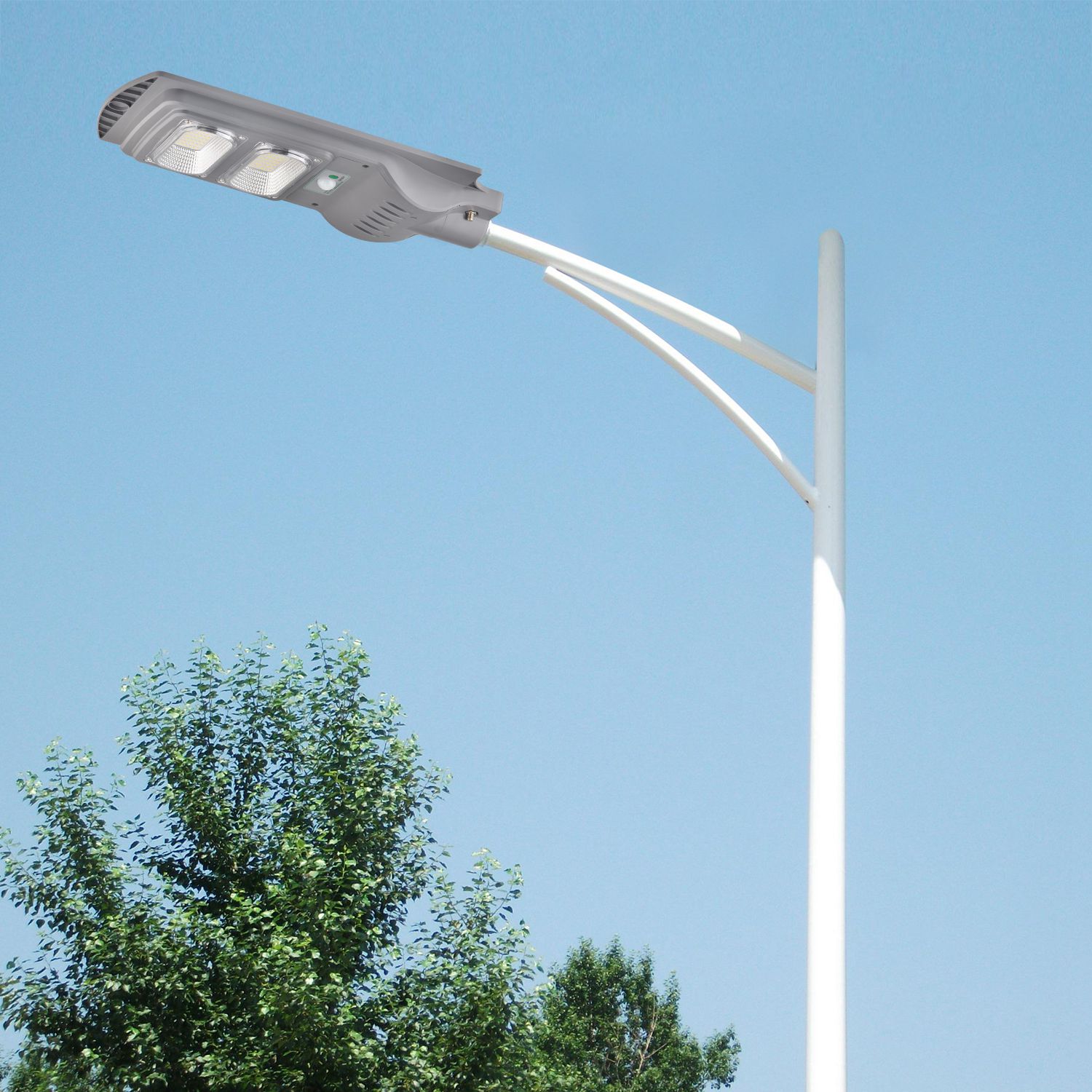 solar-street-lights