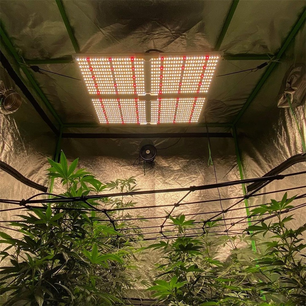 how to measure led grow light intensity