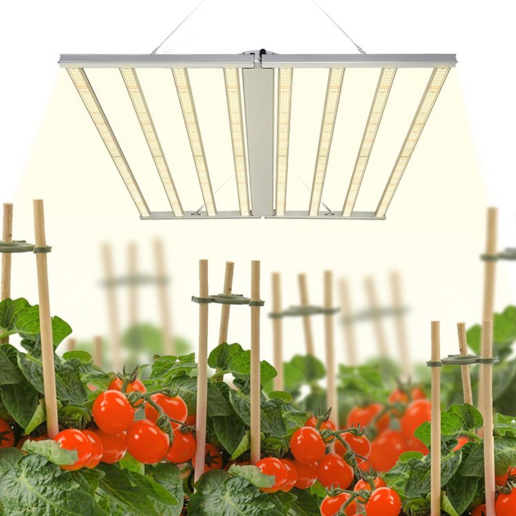 What LED Light Spectrum Is Best For Grow Lights? - BBIER®