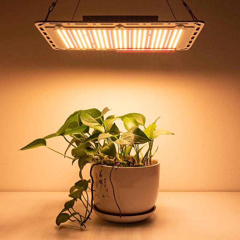 led grow light fixtures for indoor plants