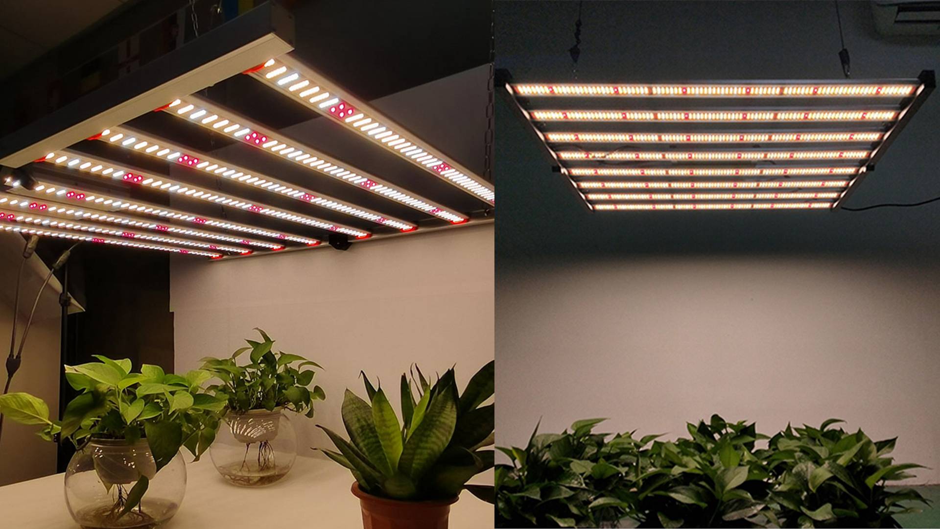 LED Grow Light Fixture vs Regular Light Can Any LED Light be Used